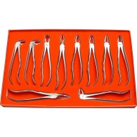 Dental Extracting Forceps Fitting Handle European Pattern